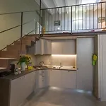Pitti Flats Serragli Daire *